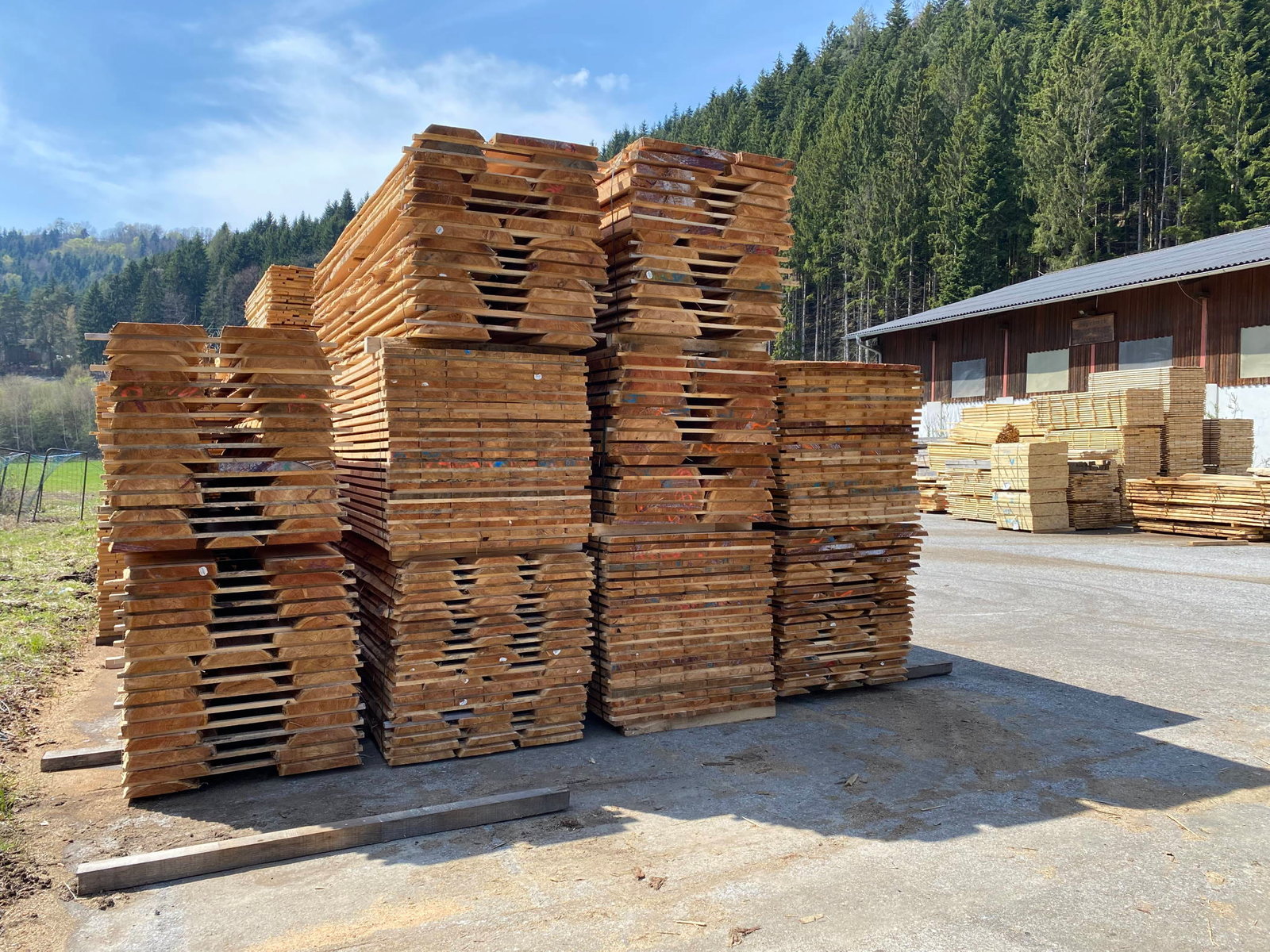 timber yard at Riegler Timber Trading