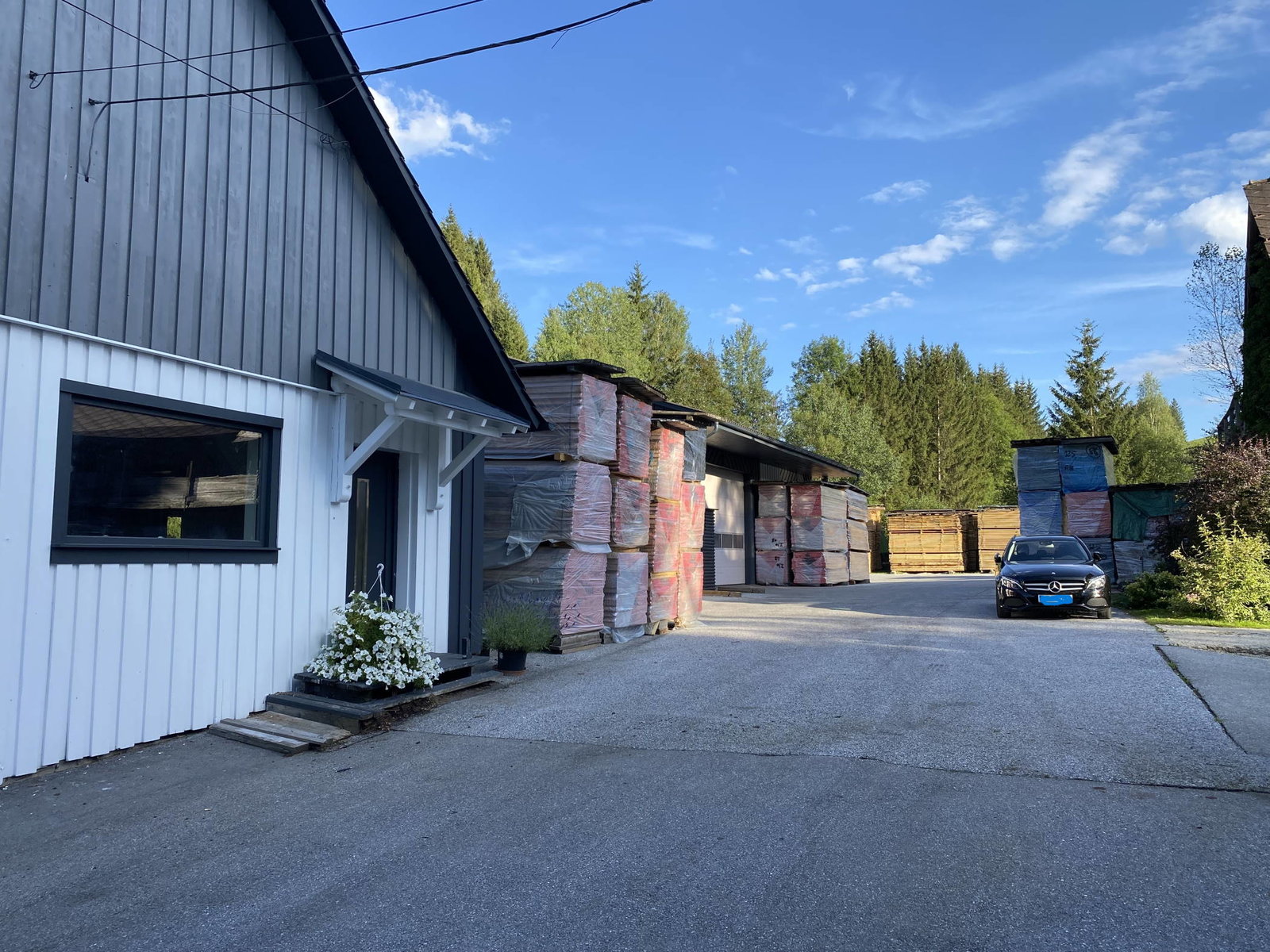 warehouse with boards at Riegler Timber Trading