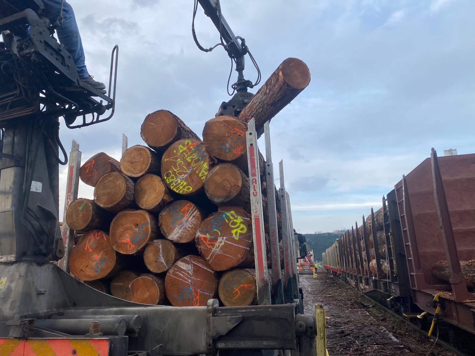 Woodwork of Riegler Timber Trading